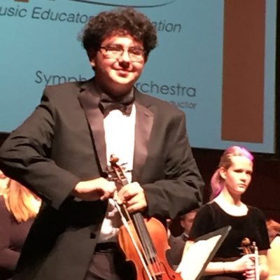 Profile Picture of Lorenzo Gallegos (@lorenzovkarajan) on Twitter