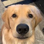 Profile Picture of finnjamin (finn) moore (@finnjaminmoore) on Instagram