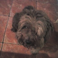 Profile Picture of Sean Min (@sean-min-7) on Quora