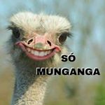 Profile Picture of Só Munganga (@somunganga) on Instagram