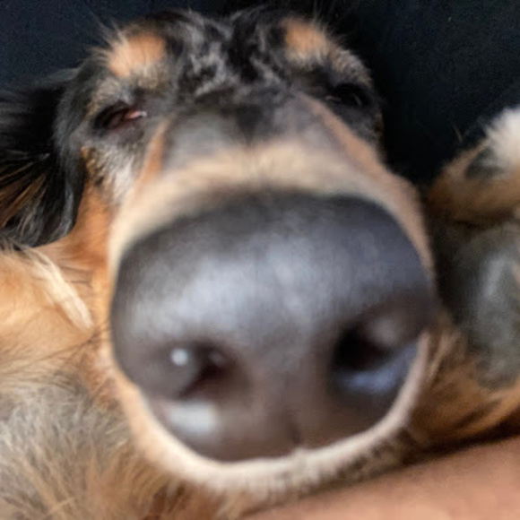 Profile Picture of Benjamin Rodriguez (@benjaminrodr312) on Poshmark