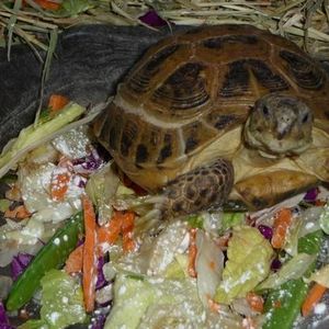 Profile Picture of Lory Reyes (@lorylynn) on Myspace