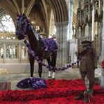 Profile Picture of Paul (@pauldarragh) on Instagram