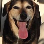 Profile Picture of Jim Finnegan (@spud.finnegan) on Instagram