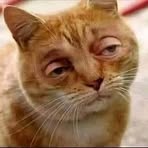 Profile Picture of Eugene Bradley (@eugene.bradley.478831) on Facebook