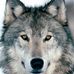 Profile Picture of Ben Kantor (@ben.kantor.773) on Facebook