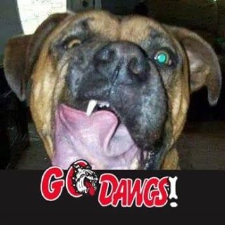 Profile Picture of Sharon Billhimer (@sharon.billhimer) on Facebook