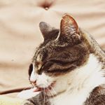 Profile Picture of needlessBenjamin (@needlessbenjamin) on Instagram