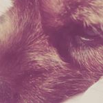 Profile Picture of Raynie Redden (@raynieredden) on Instagram