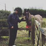 Profile Picture of Paul Stoddart (@parlyranks) on Instagram