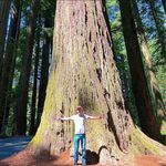 Brian Todd Faulkner Jr. - Instagram Profile Picture of Brian Todd Faulkner Jr. (@brianfaulknerart) on Instagram