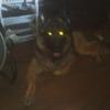 Profile Picture of Victor Paul (@@victorpaul52) on Tiktok
