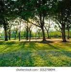 Profile Picture of Jerry Michael Elder (@Jerry-Michael-Elder) on Facebook