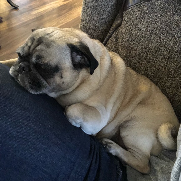 Profile Picture of Ivan Anaya (@ianaya20) on Poshmark