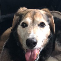 Profile Picture of Chris Judkins (@chris-judkins-6) on Quora