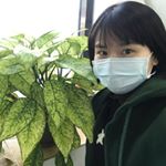 Profile Picture of Terry Yu (@terry.yu.33) on Instagram