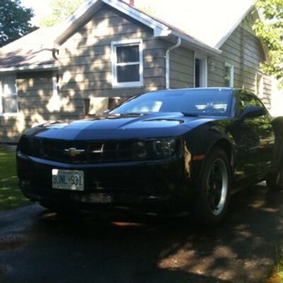Profile Picture of Martin Arsenault (@martinrcss) on Twitter