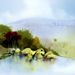 Profile Picture of Skip Allen Paints (@skipallen) on Pinterest