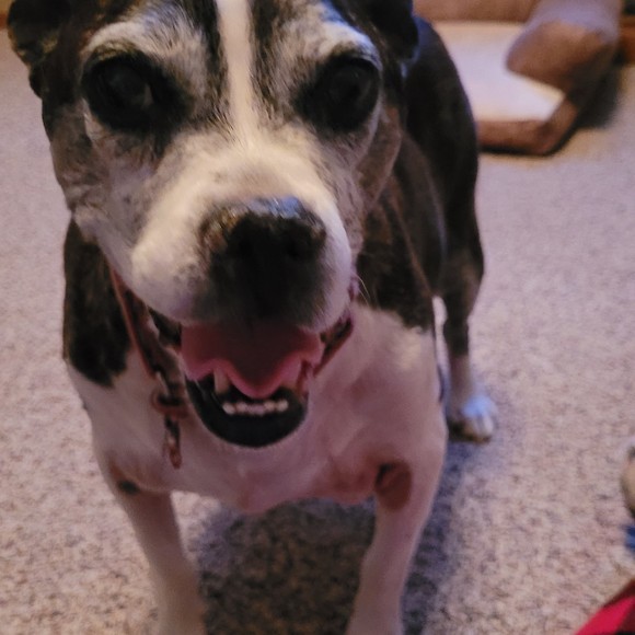 Profile Picture of Kim Jensrud (@kjensrud) on Poshmark