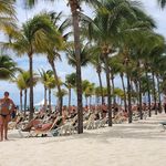 Profile Picture of tom knott (@tomk0.8) on Instagram