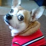 Profile Picture of Bob N Cheryl Oleary (@bobncheryloleary) on Instagram