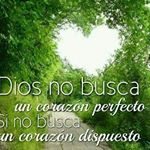 lenin castillo - Instagram Profile Picture of lenin castillo (@lenin_116) on Instagram