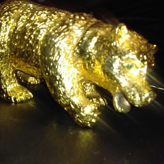 Profile Picture of Gary Foote (@foote.gary) on Instagram