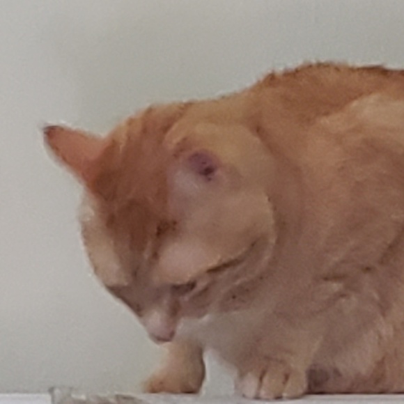 Profile Picture of Alex Hofmann (@happiness_00557) on Poshmark