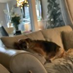 Profile Picture of Isabelle Arnell (@isabelle.arnell) on Instagram