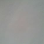 Profile Picture of Michael Benevento (@michael.benevento) on Instagram