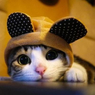 Profile Picture of Tom Keller (@TomLouisKeller) on Twitter