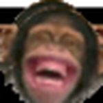 Karen Bainbridge - Flickr Profile Picture of Karen Bainbridge (@karen.bainbridge3@btinternet.com) on Flickr