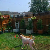 Profile Picture of Amanda Beauchamp (@amandabeauchamp821) on Youtube