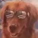 Profile Picture of Adam Trease (@adamtrease) on Pinterest