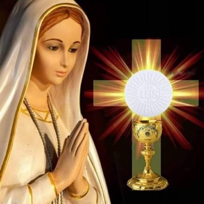 Profile Picture of Jimmy Kwan (@jimmykwan6) on Twitter