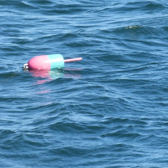 Profile Picture of Traci Lerum (@traci_lerum) on Poshmark