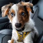 Profile Picture of Parker Andrews (@the_parker_adventure) on Instagram