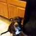 Profile Picture of Eugene Cunningham (@eugene.cunningham.1656) on Facebook
