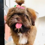 Profile Picture of Freen Ky (@Freen-Ky) on Facebook