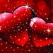 Profile Picture of Ruby Harte (@7ruby27) on Pinterest