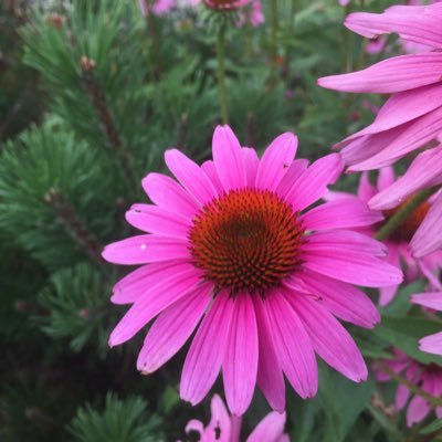 Profile Picture of Kim Gero (@theKimGero) on Twitter