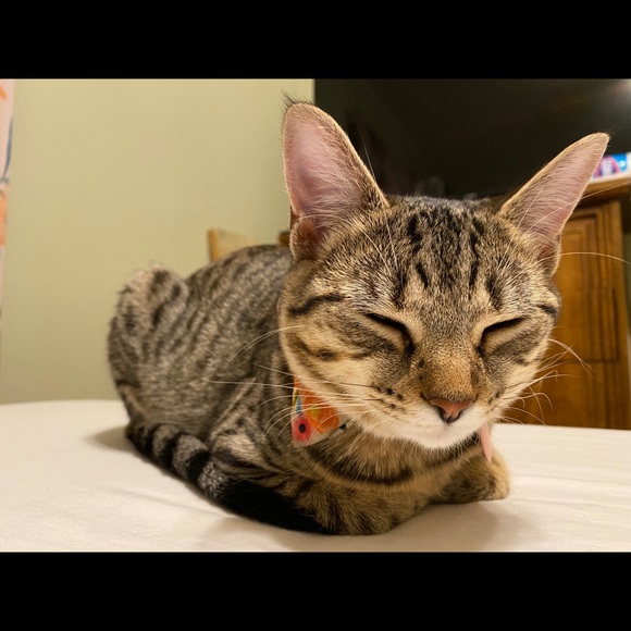 Profile Picture of Dj Dorrington (@djoneway) on Poshmark