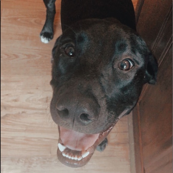 Allie Czachowski - Poshmark Profile Picture of Allie Czachowski (@allieeee_15) on Poshmark