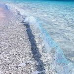 Profile Picture of Sherri Doyle (@doyle.sherri) on Instagram