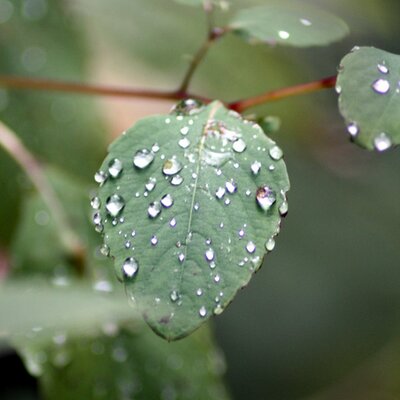 Profile Picture of Jennifer Gabriel (@ansleemia) on Twitter