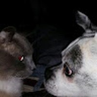 Profile Picture of Alejandro Font Martin (@alejandro-font-martin) on Quora