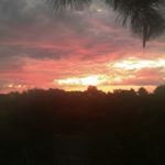 Keith Spears - Instagram Profile Picture of Keith Spears (@keithbspears) on Instagram