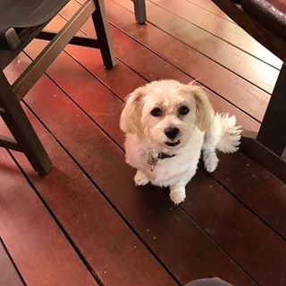 Profile Picture of Chas Moeller (@chas.moeller.1) on Facebook