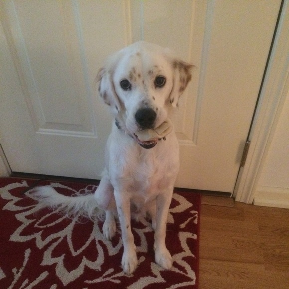 Profile Picture of Ash Peter (@watsonfitz) on Poshmark