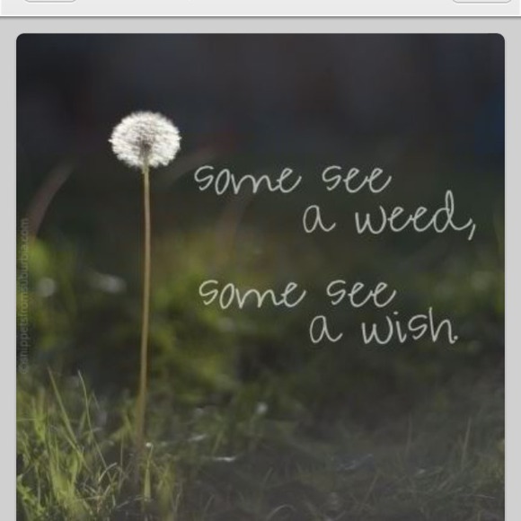 Profile Picture of Misty Vincent (@mistyvincent) on Poshmark